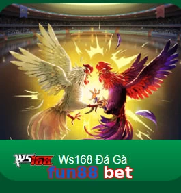 fun88 bet